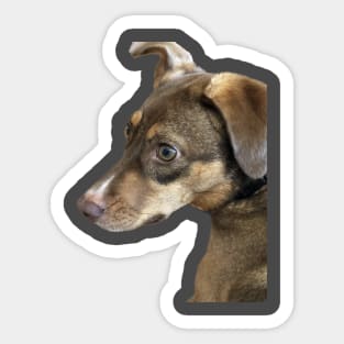 Maggie Sticker